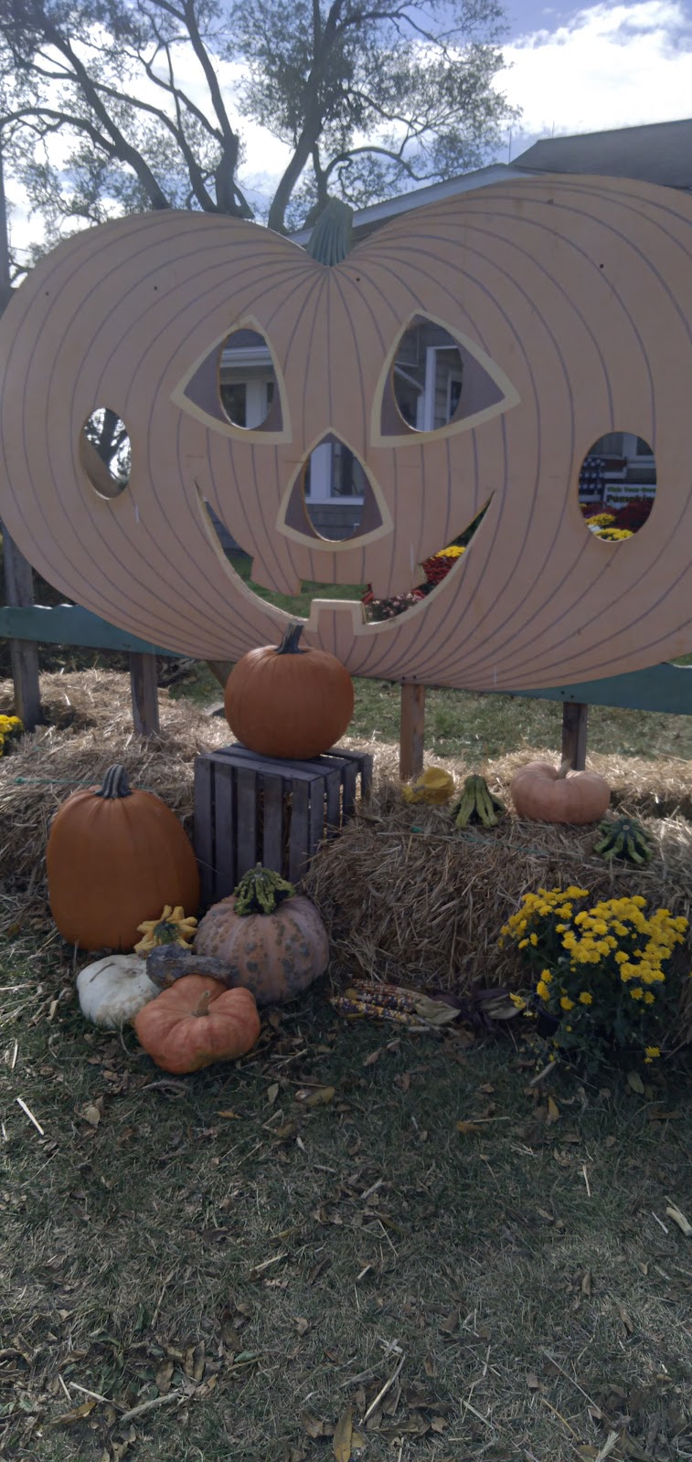 Grobe Fruit Farm Ltd | 43875 Telegraph Rd, Elyria, OH 44035, USA | Phone: (440) 322-8312