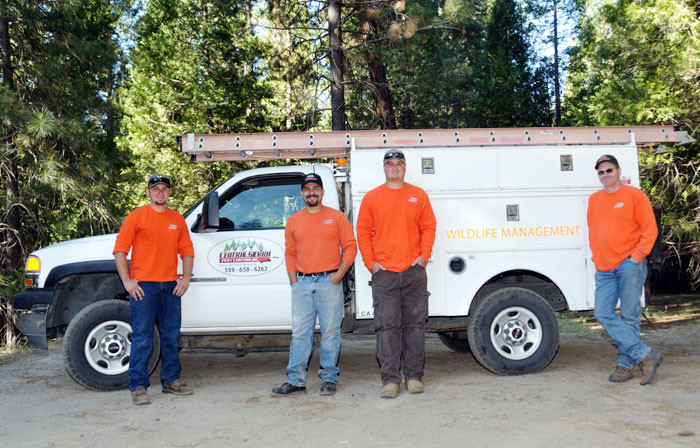 Central Sierra Pest Control, Inc. | 54566 Rd 200, North Fork, CA 93643, USA | Phone: (559) 658-6262