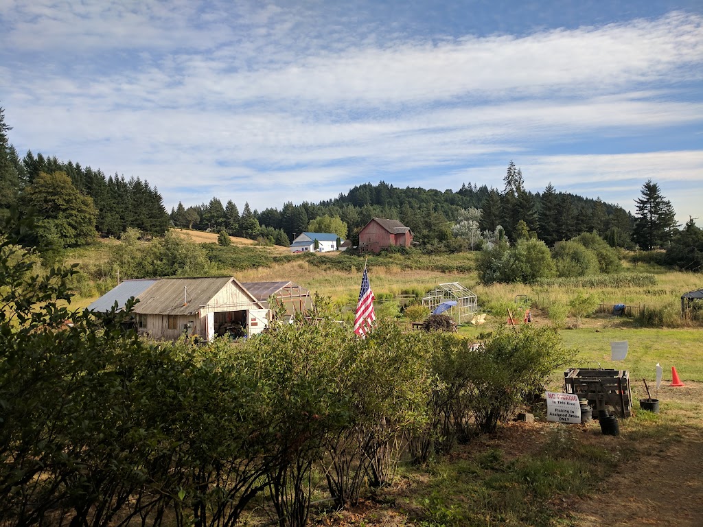 The Blueberry Patch | 16208 NW Sellers Rd, Banks, OR 97106, USA | Phone: (503) 804-4158