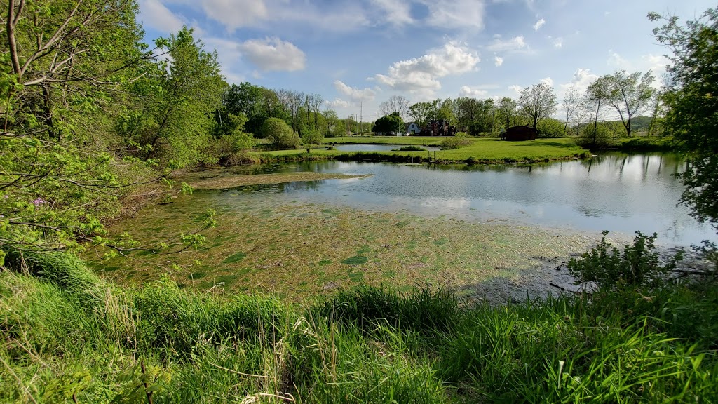 Token Creek Conservancy | 6394 Portage Rd, DeForest, WI 53532, USA | Phone: (608) 846-3854