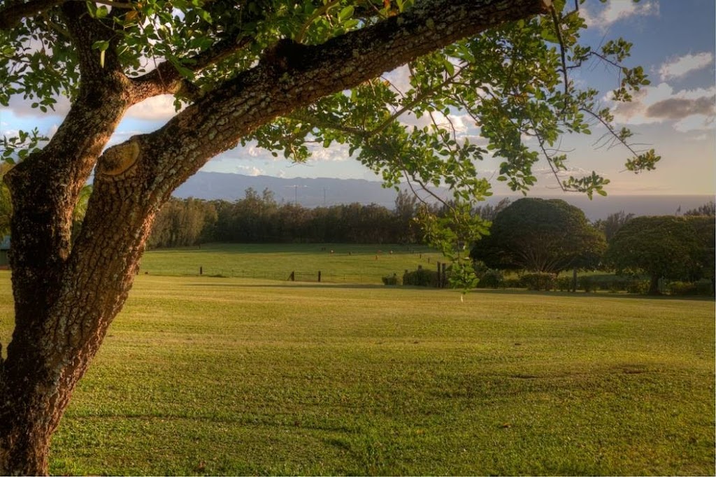 Sunset Ranch Hawaii | 59-777 Pupukea Rd, Haleiwa, HI 96712, USA | Phone: (808) 638-8333