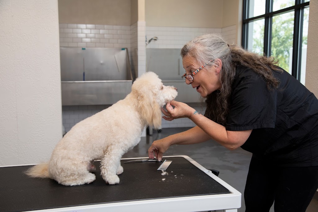 Pet Paradise Lakewood Ranch | 10411 Portal Crossing, Bradenton, FL 34211, USA | Phone: (941) 209-1021