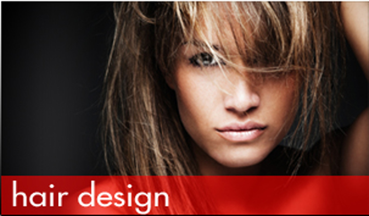 Elegance And Design Studio | 114 S Pleasant St, Cambridge, WI 53523, USA | Phone: (608) 423-4511