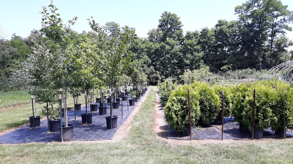 Spring Gardens Plant Farm | 1988 OH-73, Waynesville, OH 45068, USA | Phone: (513) 804-8288