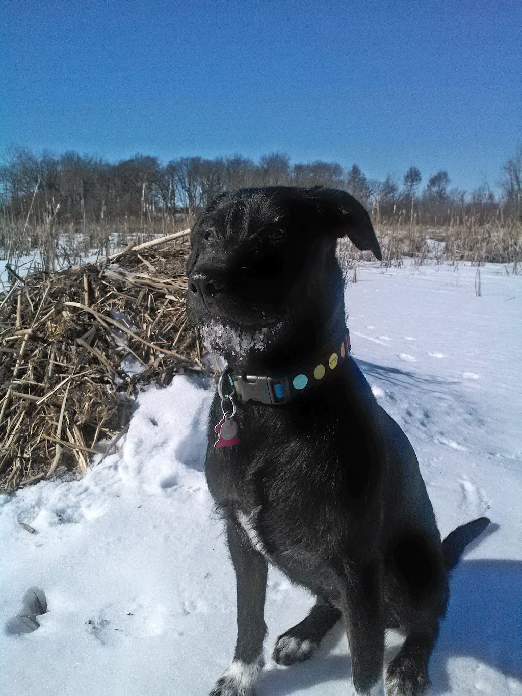 Grassy Lake State Natural Area | Otsego Rd, Rio, WI 53960, USA | Phone: (608) 266-2621