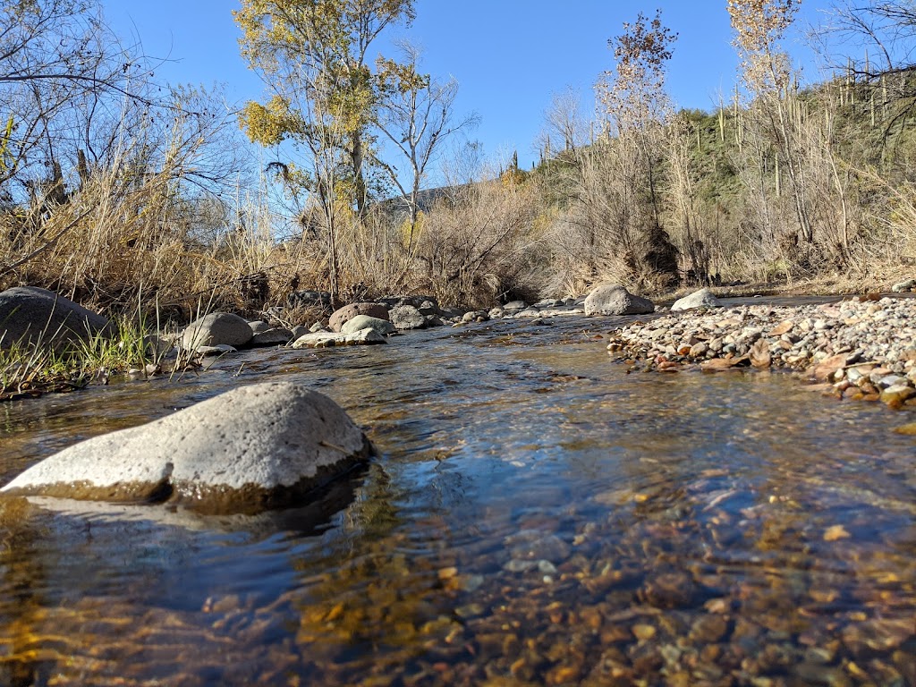 Jewel of the Creek Preserve | Cave Creek, AZ 85331, USA | Phone: (480) 488-6131