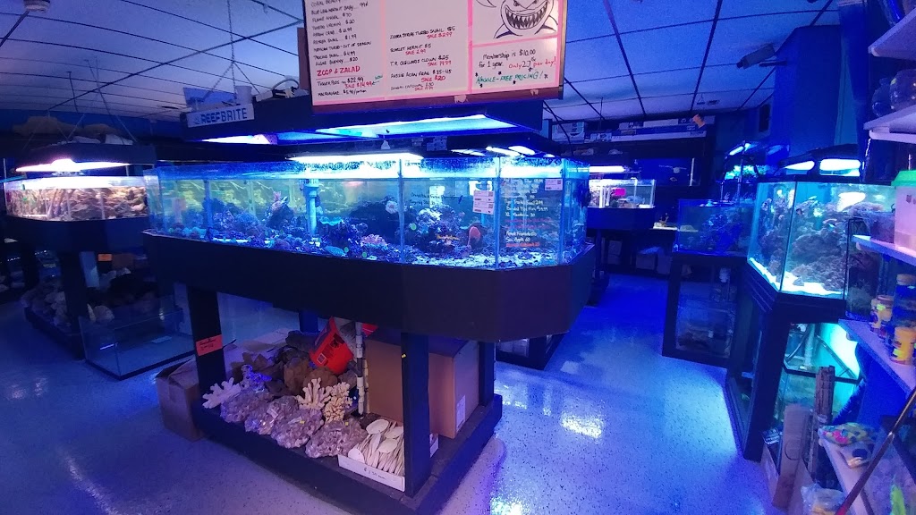 Oceans and Seas | 26085 Gratiot Ave, Roseville, MI 48066, USA | Phone: (586) 778-2223