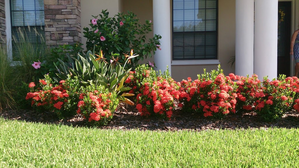 Green Land Lawn Pest Control | 1543 African Violet Ct, Trinity, FL 34655 | Phone: (727) 376-2325