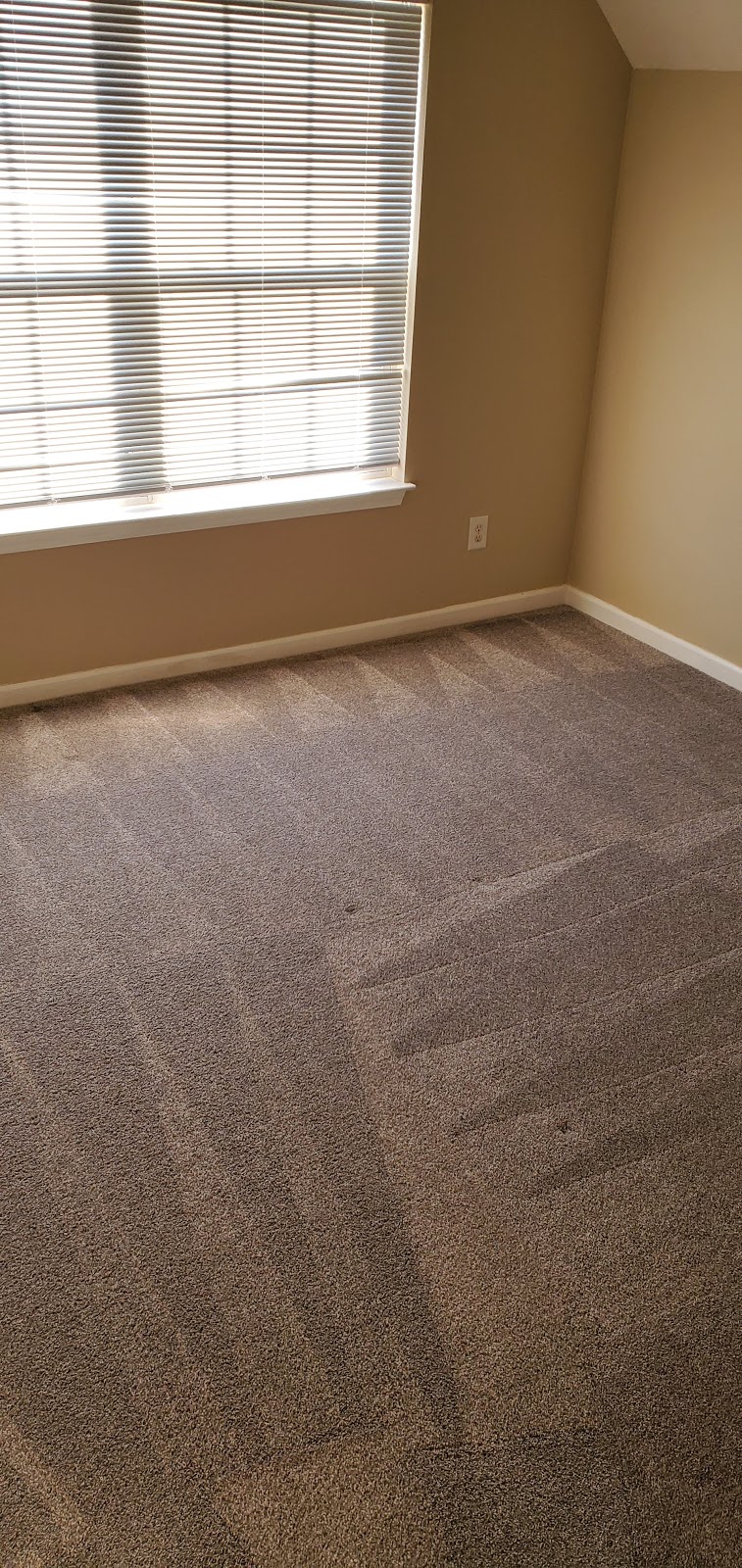 Brinegars Carpet Cleaning Service | 2156 Liebengood Rd, Goodlettsville, TN 37072, USA | Phone: (615) 865-5659