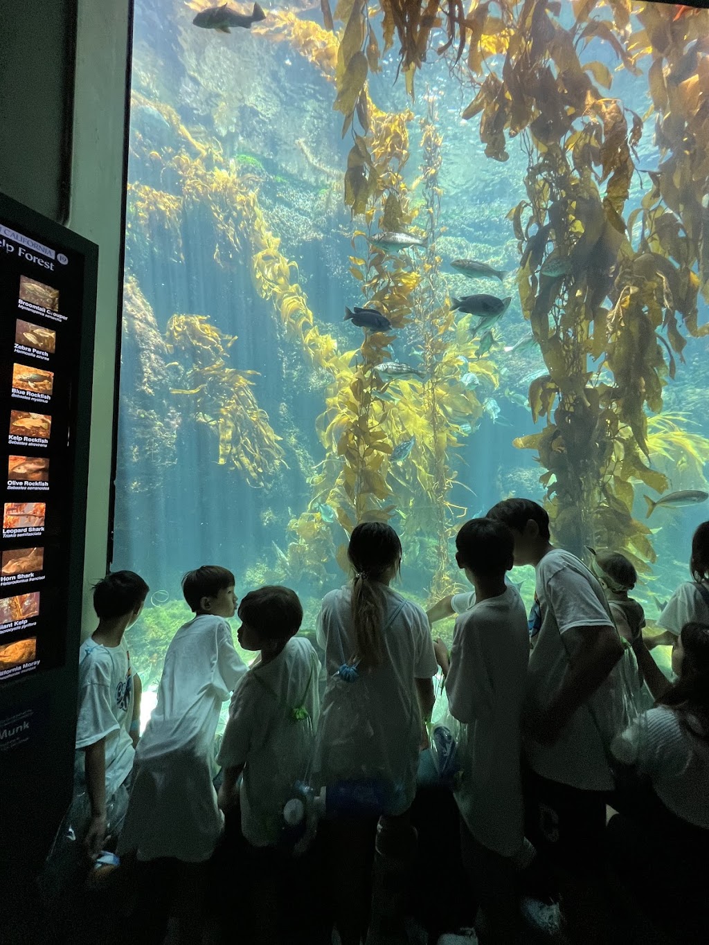 갈보리사랑교회 Calvary Love Church | 25771 Jefferson Ave, Murrieta, CA 92562, USA | Phone: (951) 587-9583