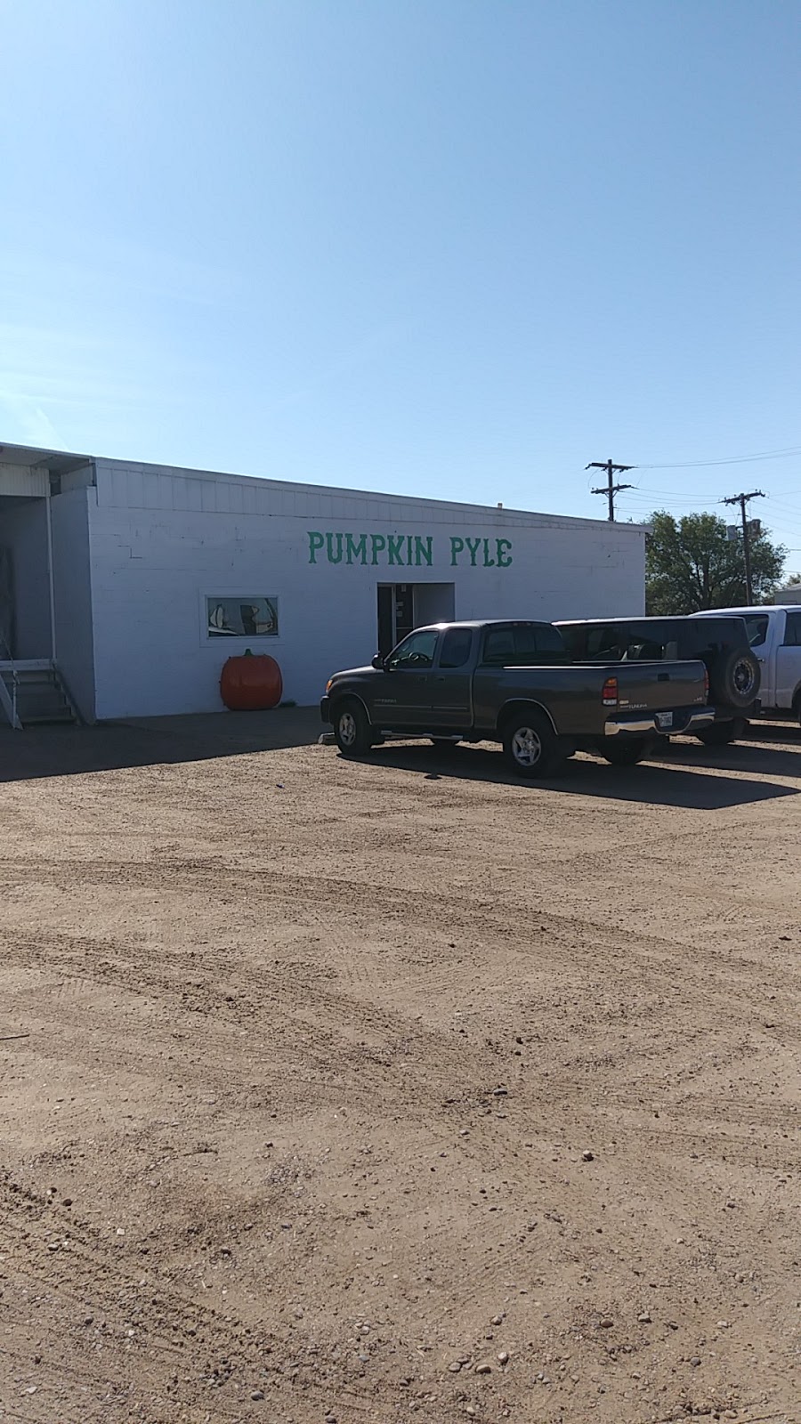 Pumpkin Pyle | 900 N 2nd St, Floydada, TX 79235 | Phone: (806) 983-2363