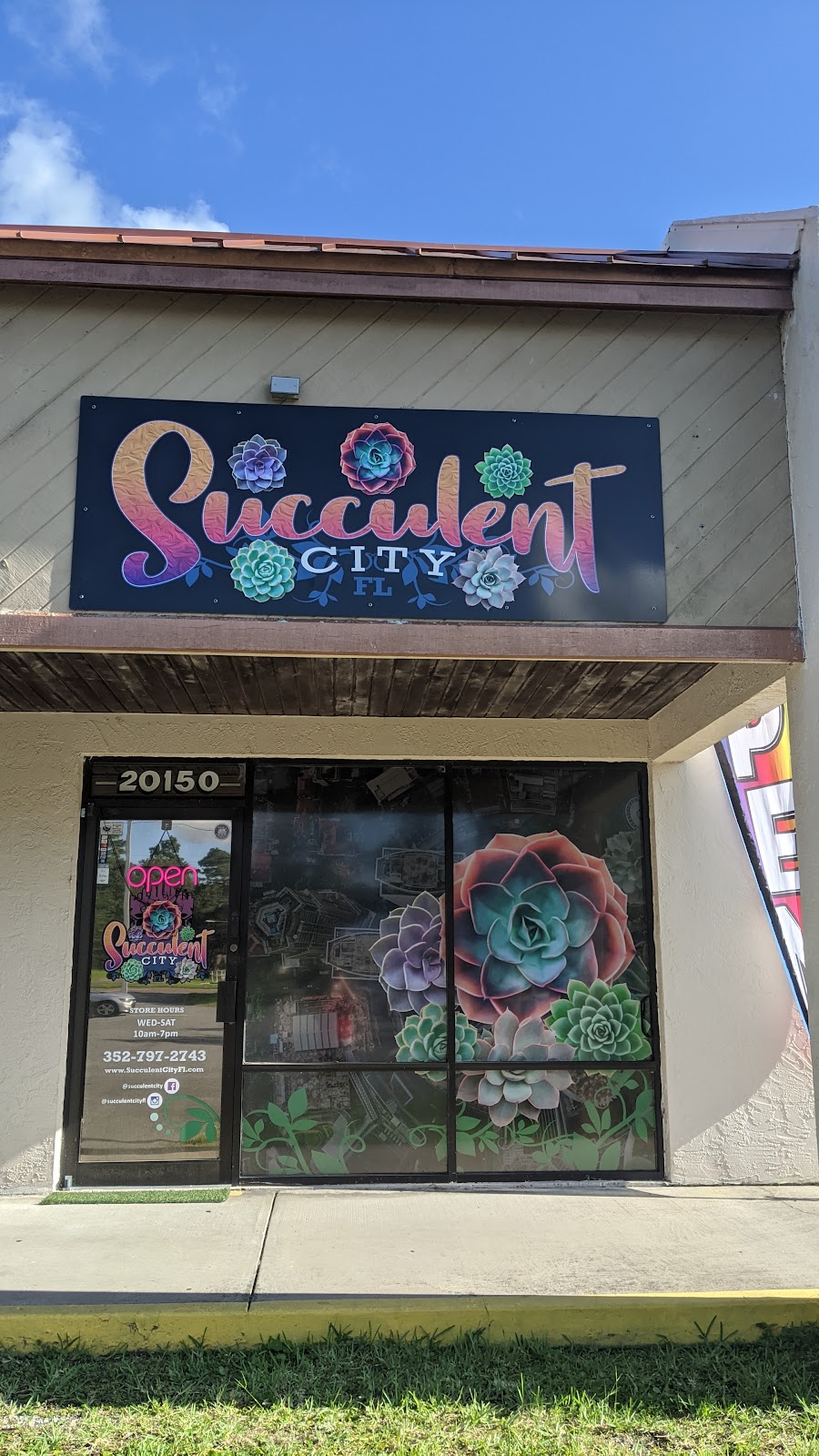 Succulent City | 20150 Cortez Blvd, Brooksville, FL 34601, USA | Phone: (352) 797-2743