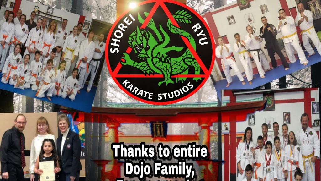 Shorei Ryu Karate Studios | 103 Rio Rancho Dr NE A6, Rio Rancho, NM 87124, USA | Phone: (505) 990-3575