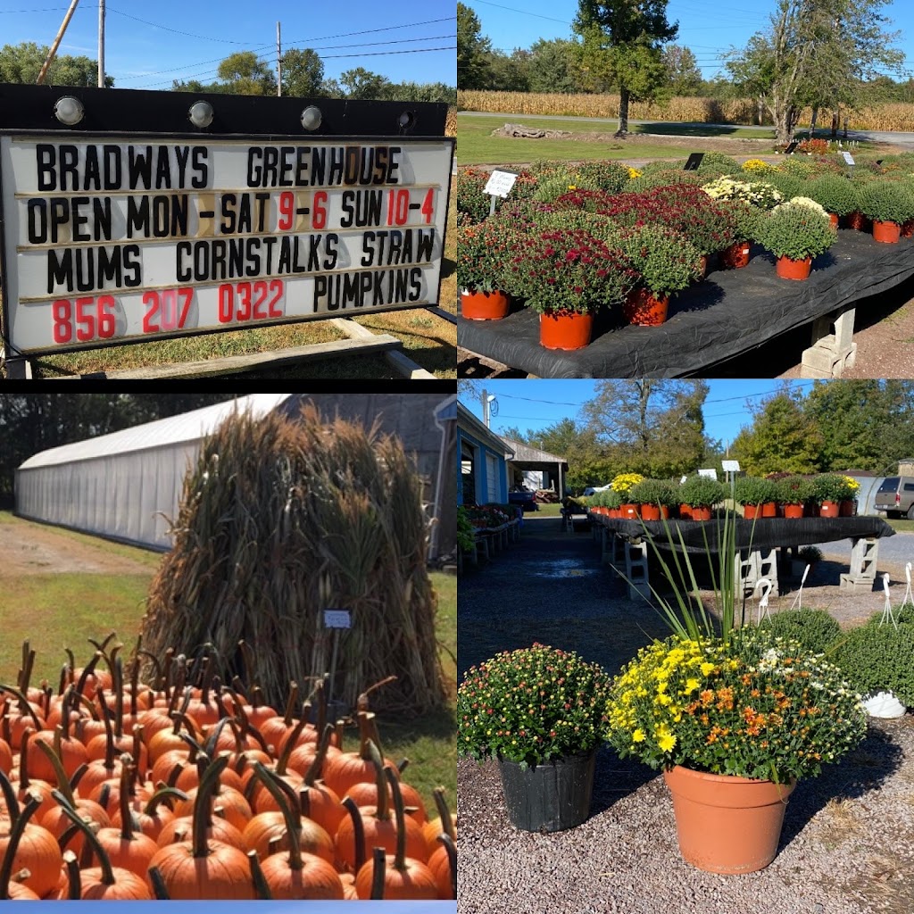 Bradways Greenhouse | 149 Jericho Rd, Salem, NJ 08079, USA | Phone: (856) 935-5698