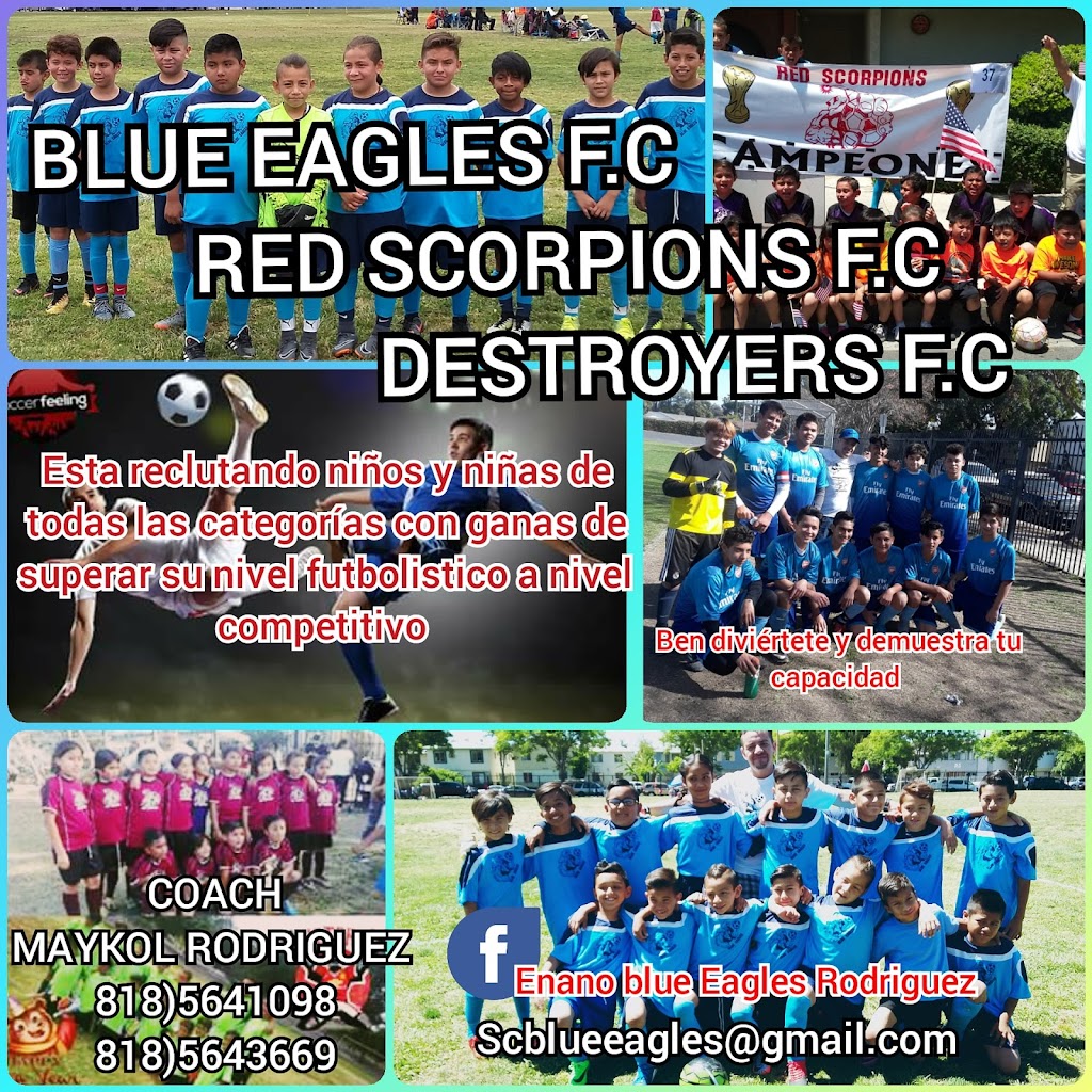 Academy de futbol blue eagles y red scorpions | 7307 Variel Ave #1, Canoga Park, CA 91303, USA | Phone: (818) 564-1098