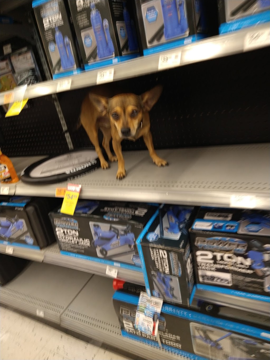 OReilly Auto Parts | 13710 W Waddell Rd, Surprise, AZ 85379, USA | Phone: (623) 544-9560