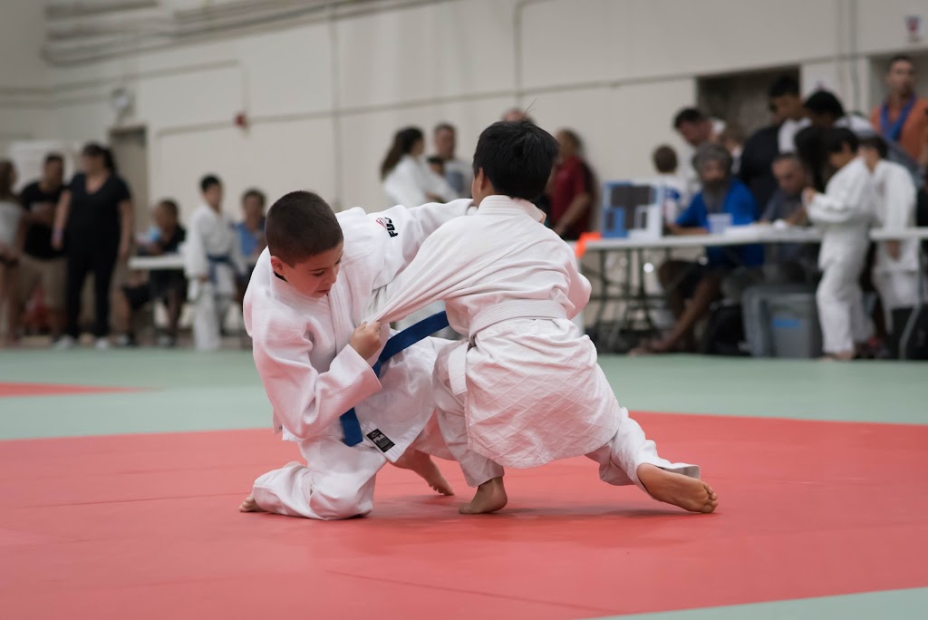 Arizona Judo Academy | 302 W Melinda Ln #8, Phoenix, AZ 85027, USA | Phone: (623) 265-9016