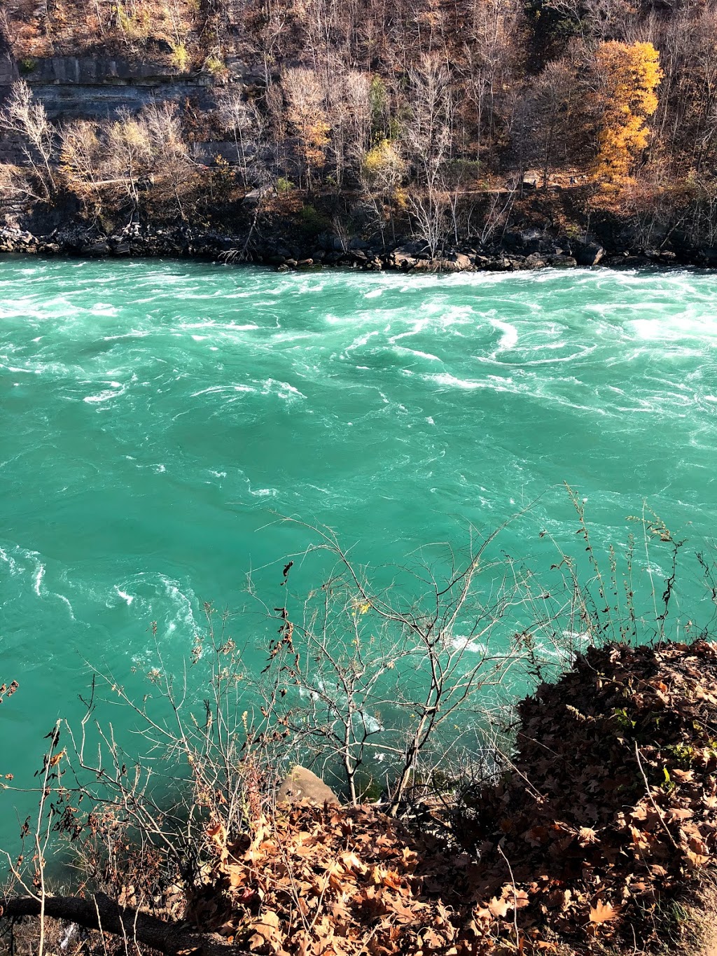 Upper Whirlpool Trails, Niagara River Whirlpool, Canada | 4013, 4009 Niagara Pkwy, Niagara Falls, ON L2E 3E8, Canada | Phone: (877) 642-7275