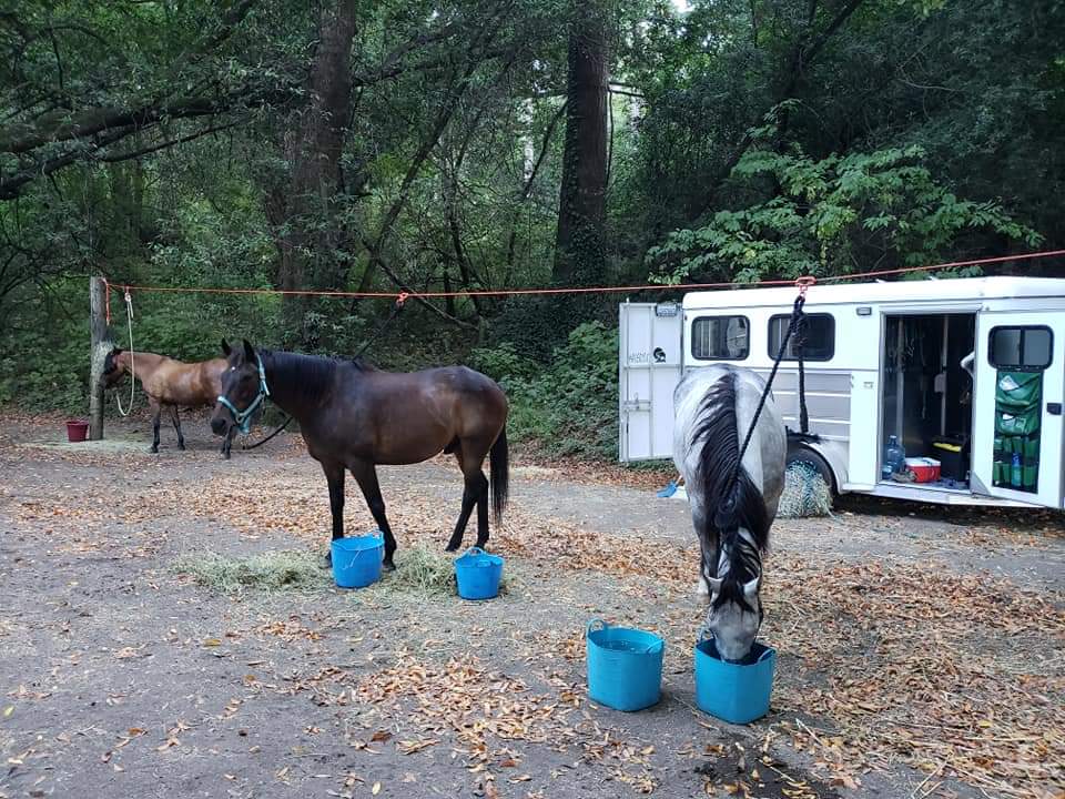 FIVE BROOKS HORSE CAMP | 26W5+3J, Bolinas, CA 94924, USA | Phone: (415) 663-1570