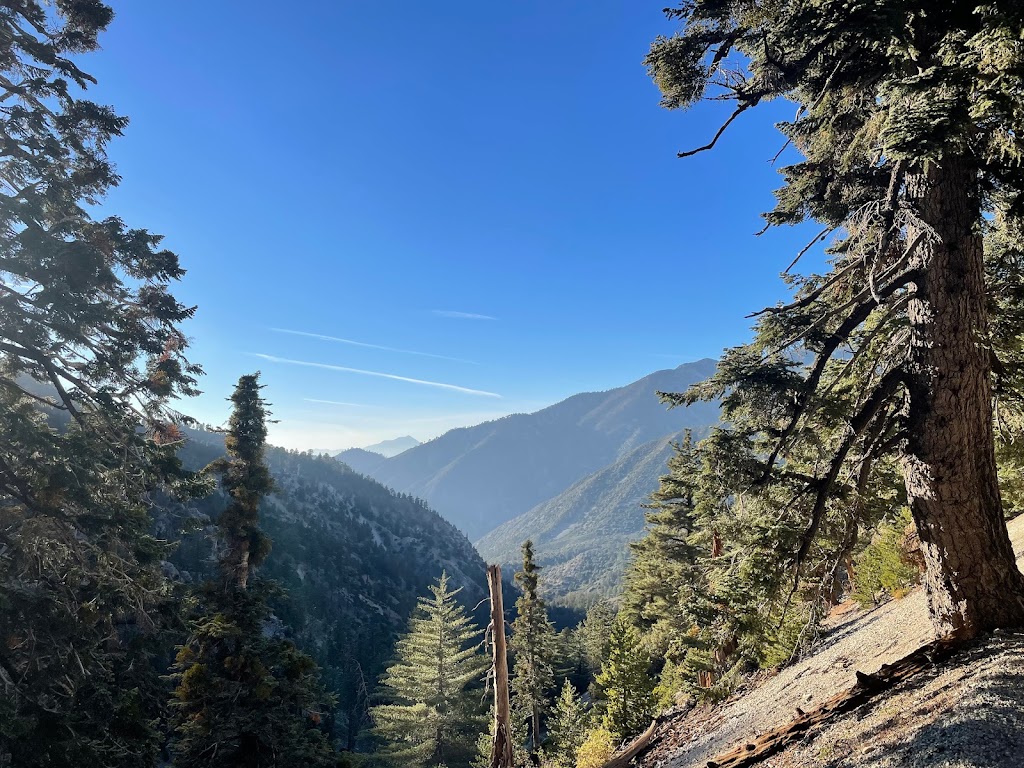 Cucamonga Wilderness | California, USA | Phone: (626) 335-1251