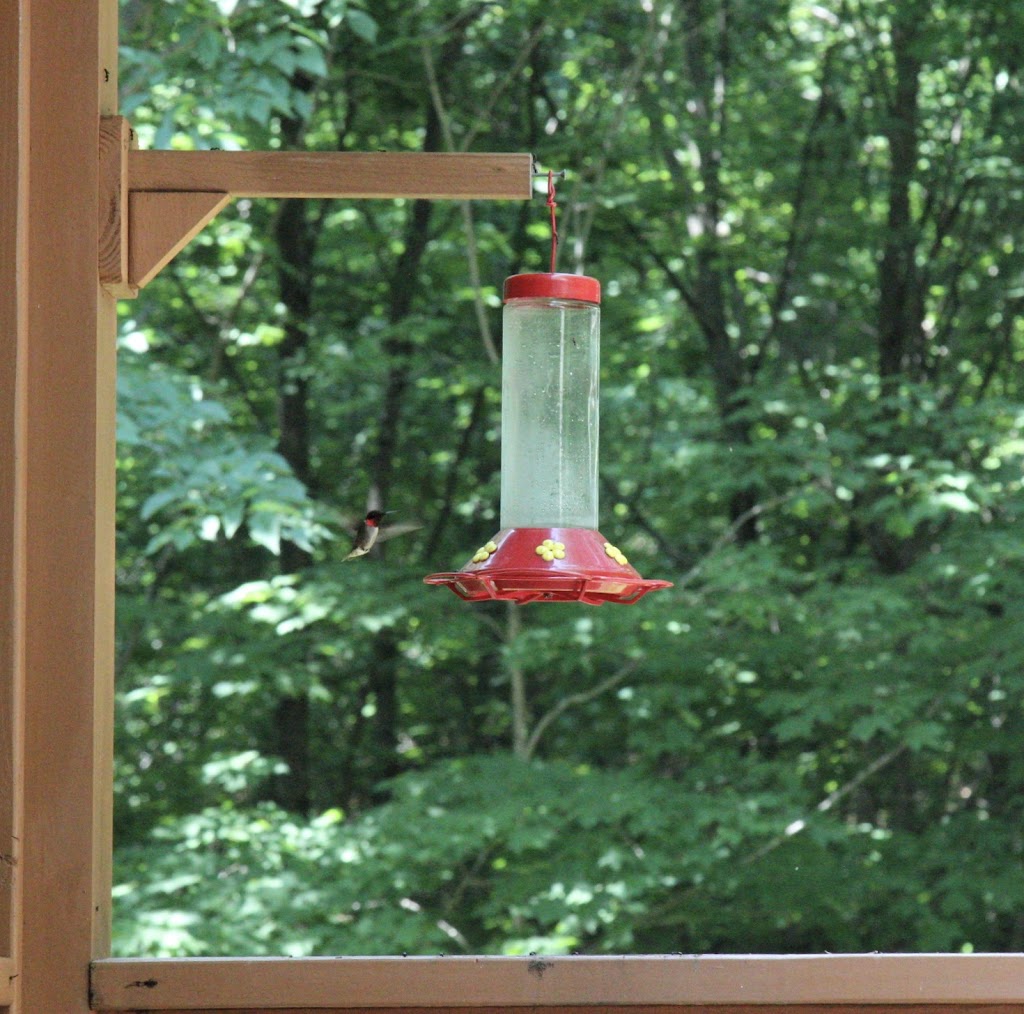 Hummingbird Hill Cabins | 4385 Sullivan Rd, Logan, OH 43138, USA | Phone: (740) 380-3242