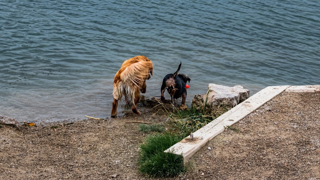 Prairie Oaks Dog Beach | 2755 Amity Rd, Hilliard, OH 43026, USA | Phone: (614) 208-4321