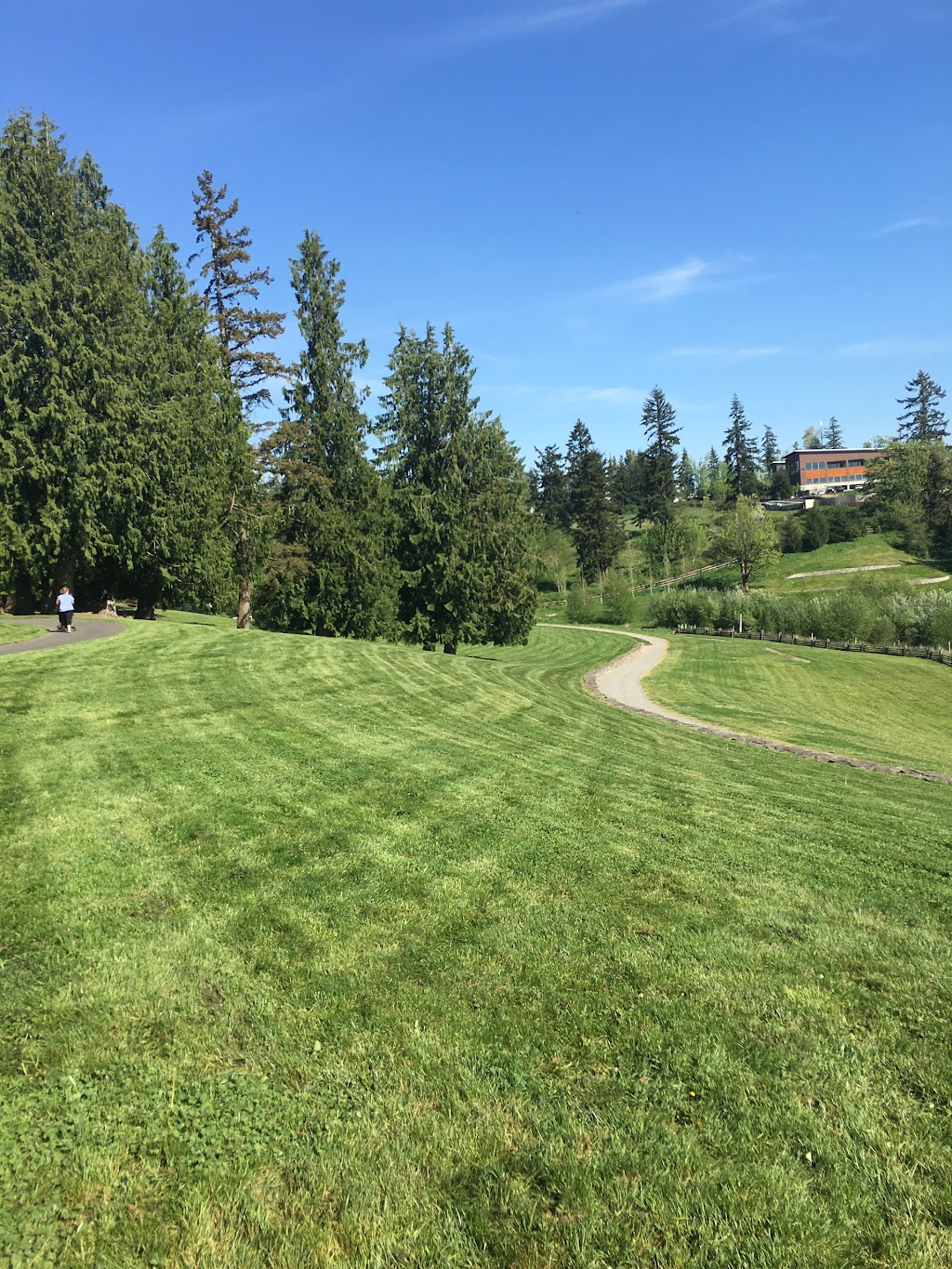 Lower Sammamish Commons Parking Lot | Sammamish, WA 98074, USA | Phone: (425) 295-0730