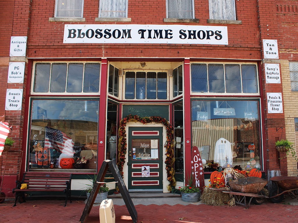 Blossom Time Shops | 205 Main St, Minco, OK 73059 | Phone: (405) 352-0518