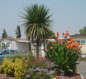 Foothills Mobile Home Park | 655 S 34th St, San Jose, CA 95116, USA | Phone: (408) 889-9458