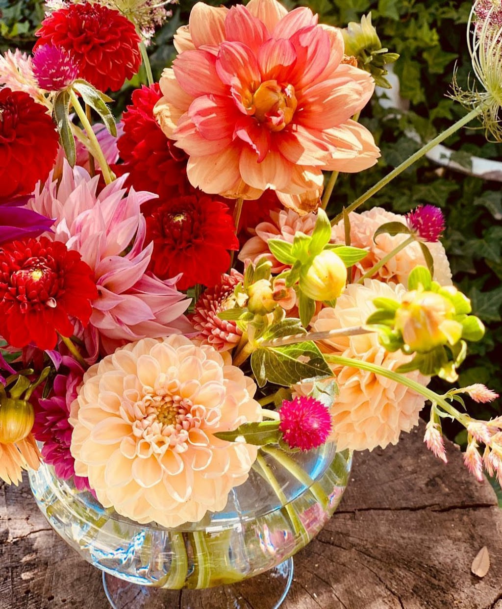 Amande Floweret Floral | 365 Cross St, Shafter, CA 93263, USA | Phone: (408) 500-5697