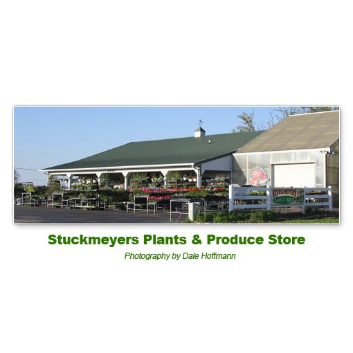Stuckmeyers Farm | 9204 Bluff Rd, Waterloo, IL 62298, USA | Phone: (618) 935-2501