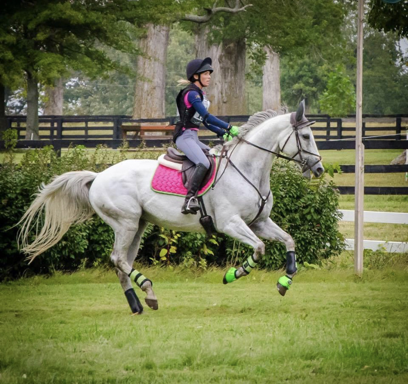 Preferred Equestrian | 6376 Marsh Rd, Marine City, MI 48039, USA | Phone: (586) 808-5574