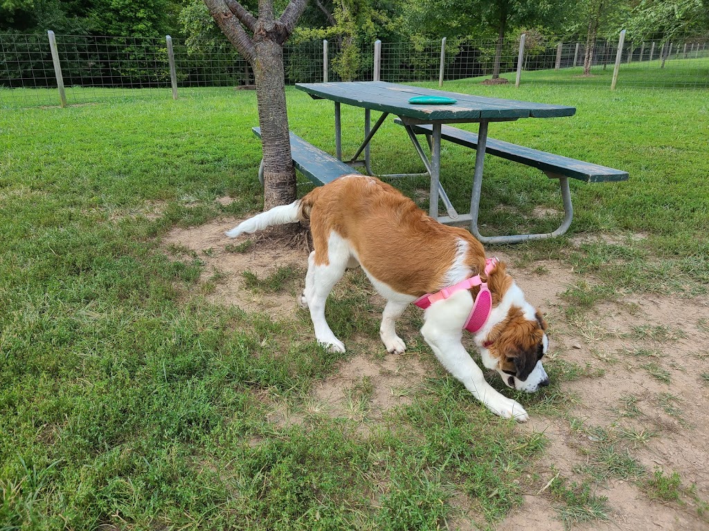 Shiloh Dog Park | 3756 Lebanon Ave, Belleville, IL 62221 | Phone: (618) 632-1022