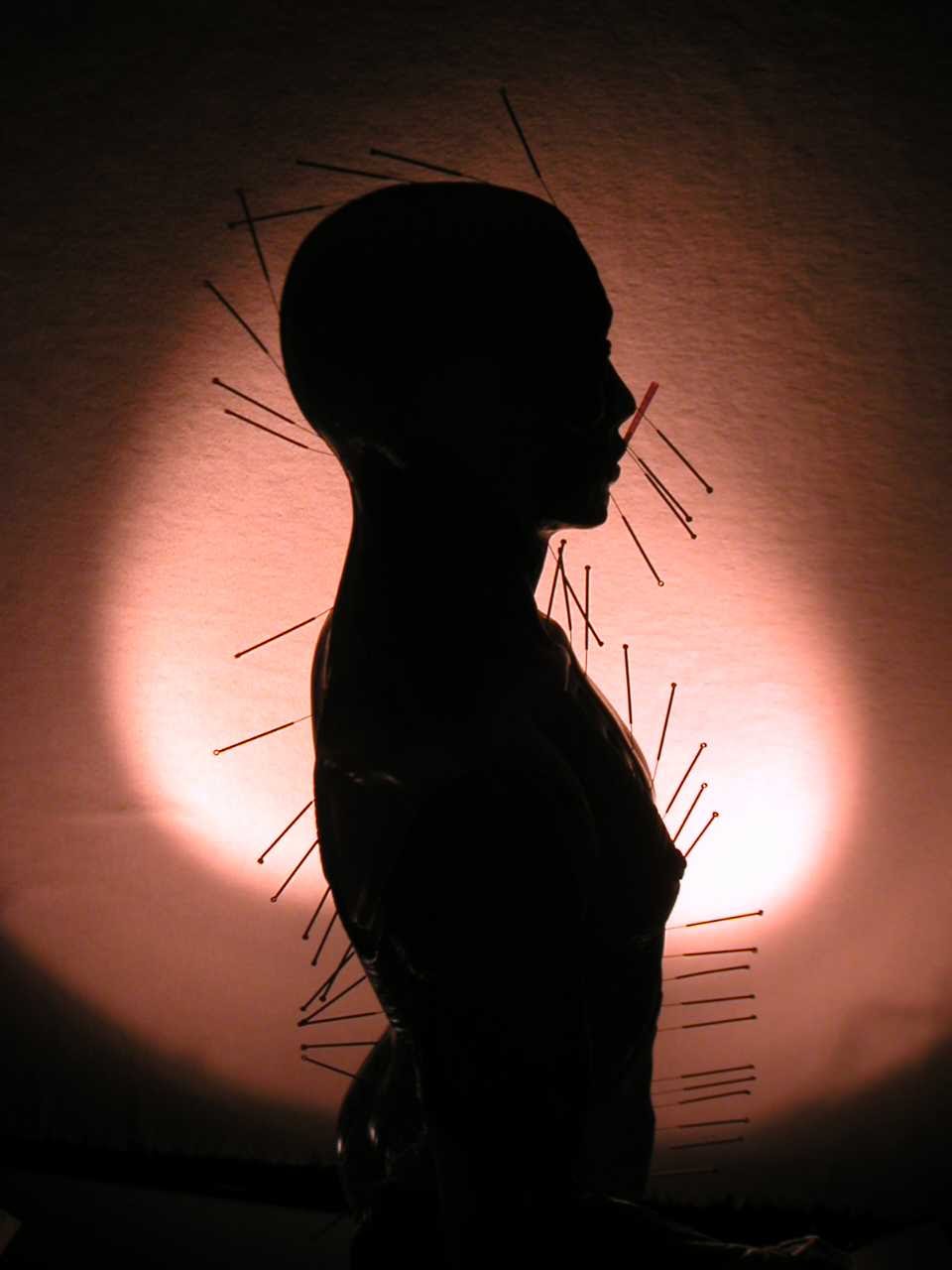 Ancient Art of Healing | 6700 Florida Ave S Suite 5, Lakeland, FL 33813, USA | Phone: (863) 644-2447