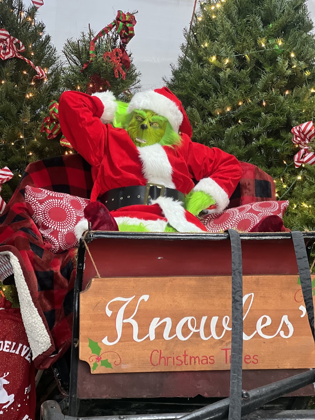 Knowles Christmas Trees and Seasonal Flowers | 5639 Bensalem Blvd, Bensalem, PA 19020, USA | Phone: (267) 566-6519