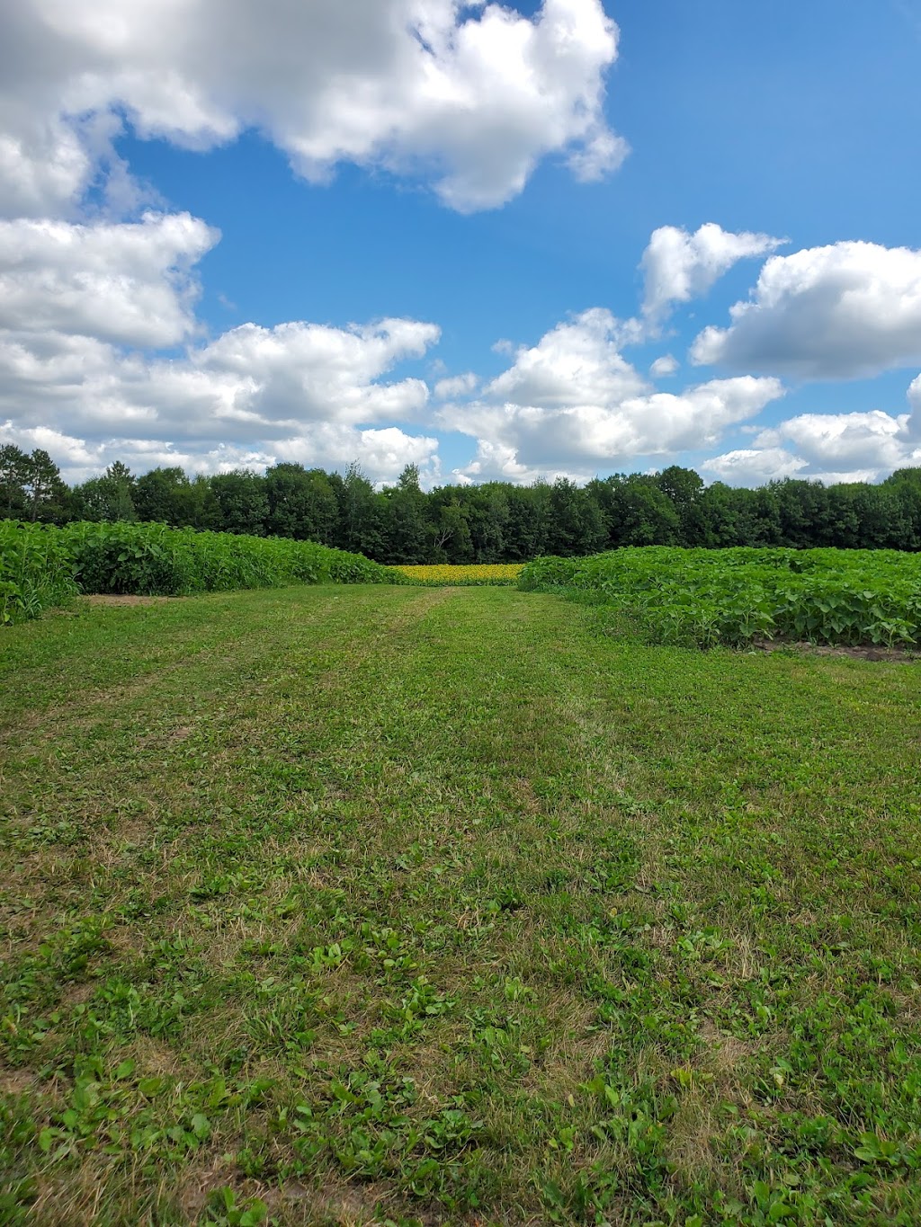 Treasured Haven Farm | 53407 Government Rd, Rush City, MN 55069, USA | Phone: (320) 358-3581