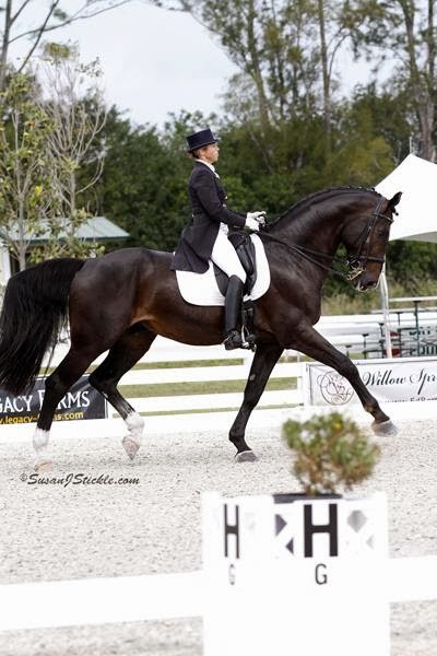 Adesco Dressage | 8281 Dines Rd, Novelty, OH 44072 | Phone: (216) 533-0920