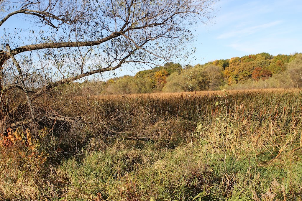 Rice Marsh Lake Park | 8811 Erie Cir, Chanhassen, MN 55317, USA | Phone: (952) 227-1100