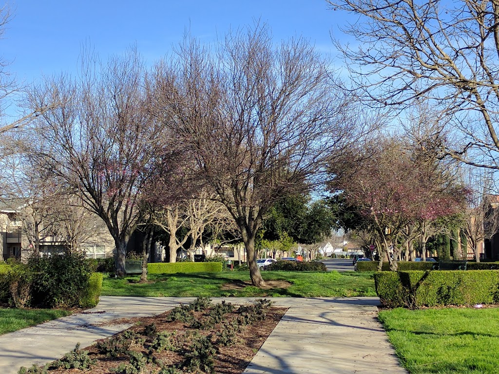 Lippincott Park | 3230 Renwick Ave, Elk Grove, CA 95758, USA | Phone: (916) 405-5688