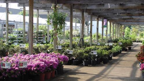 Petitti Garden Centers | 311 West Ave, Tallmadge, OH 44278, USA | Phone: (330) 633-2394