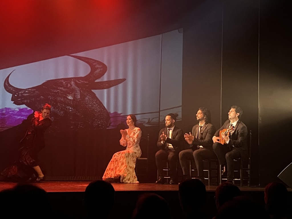 Teatro Flamenco Madrid | C. del Pez, 10, Centro, 28004 Madrid, Spain | Phone: 911 59 20 05