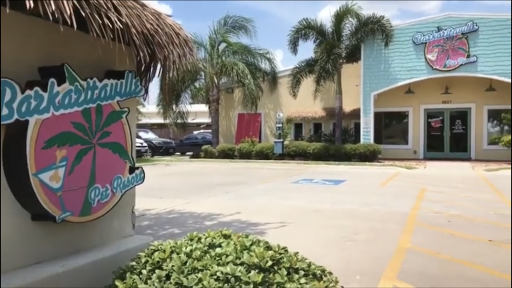 Barkaritaville Pet Resort | 6617 Jefferson St, Corpus Christi, TX 78413 | Phone: (361) 814-2275