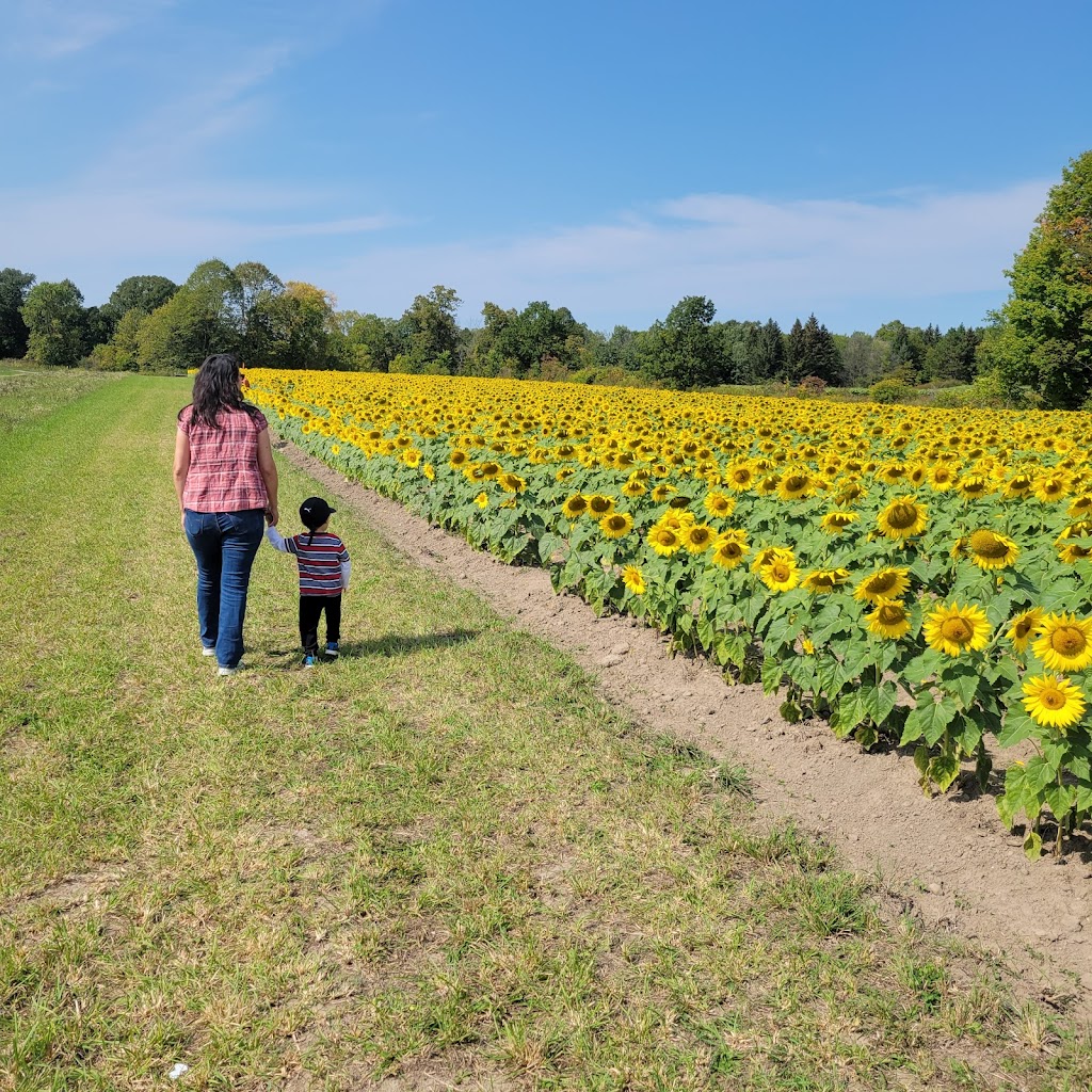 Treasured Haven Farm | 53407 Government Rd, Rush City, MN 55069, USA | Phone: (320) 358-3581