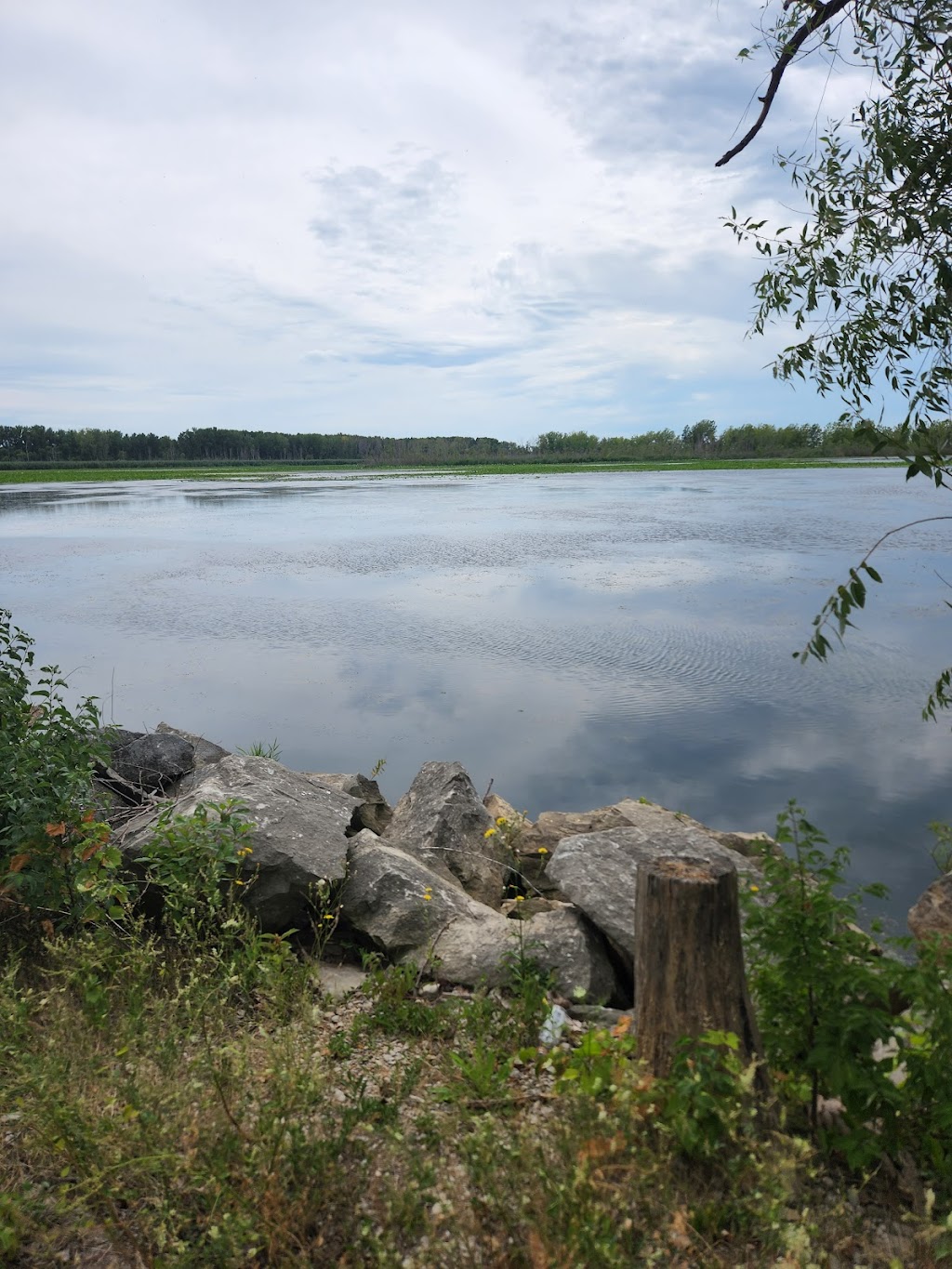 Lighthouse Point Provincial Nature Reserve | Pelee Island, ON N0R 1M0, Canada | Phone: (519) 825-4659