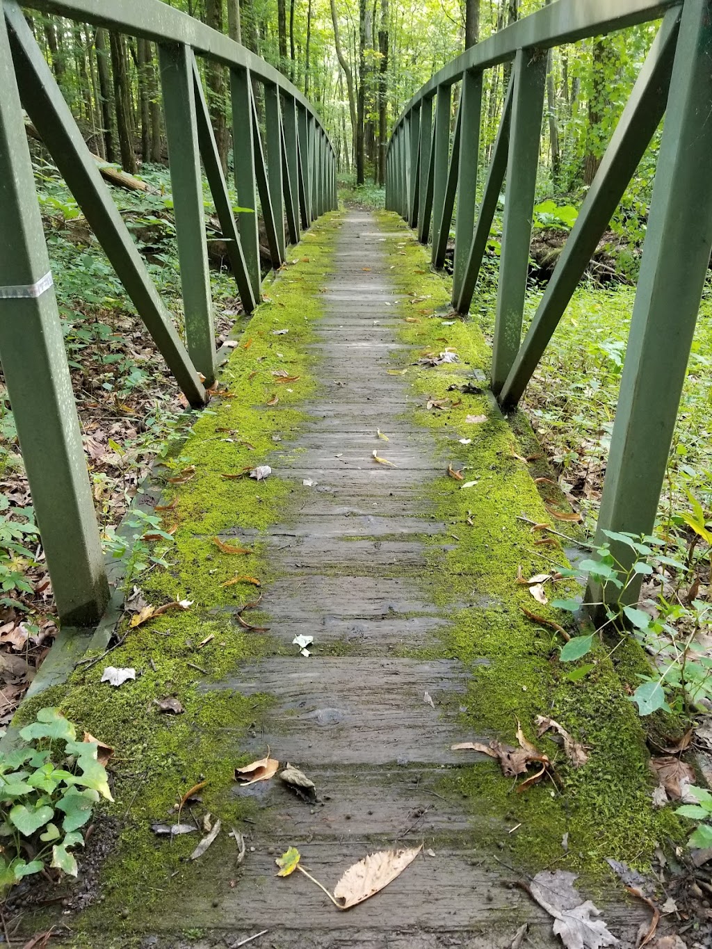 A.C.C. Moebius Nature Center | 929 E Mennonite Rd, Aurora, OH 44202, USA | Phone: (216) 402-4361