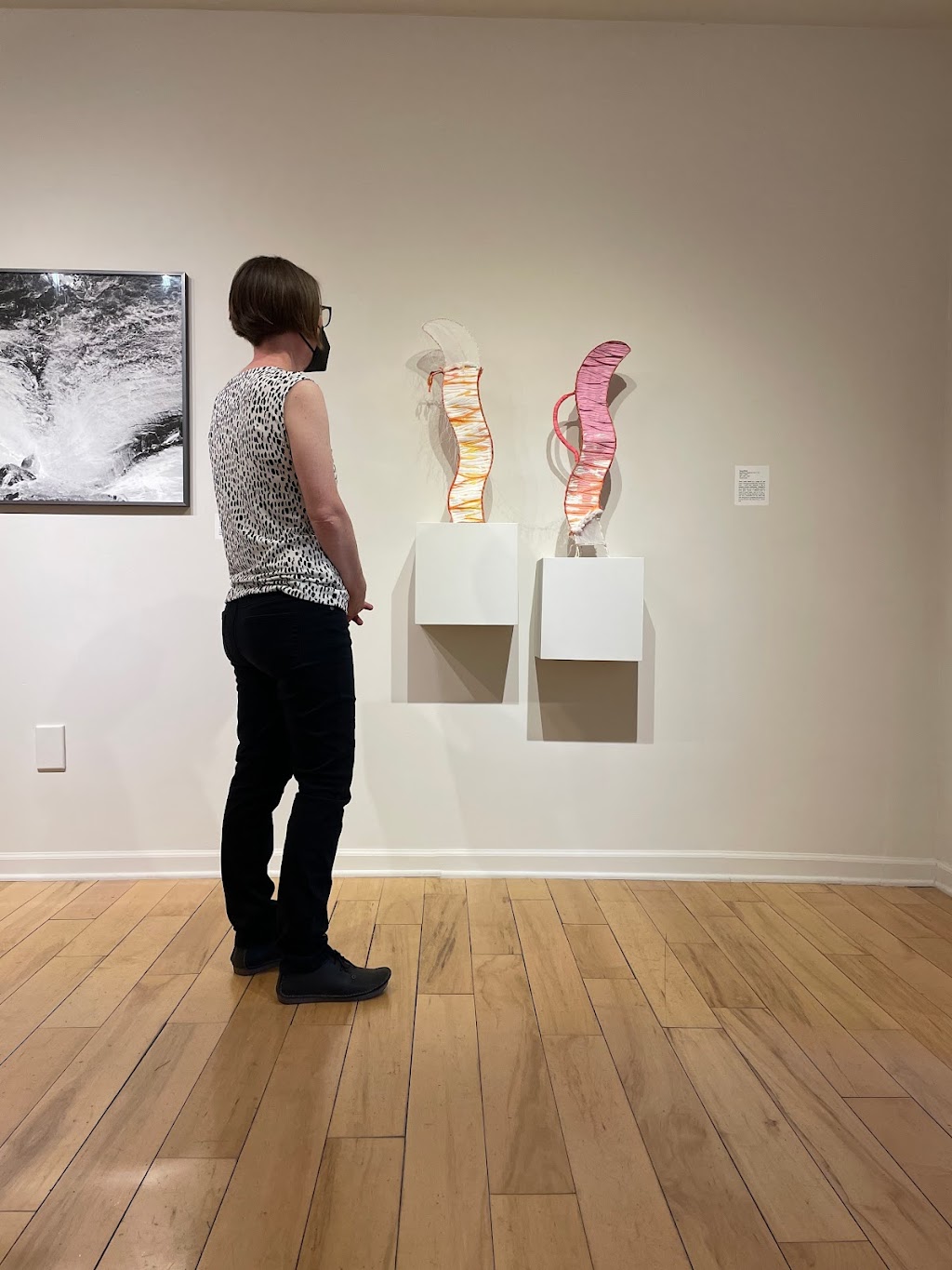 Eye Lounge | 922 N 5th St, Phoenix, AZ 85004, USA | Phone: (602) 430-1490