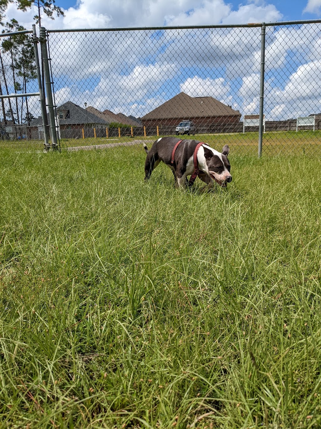 Pretty Acres Dog Park | 301 S Orchard Ln, Covington, LA 70433, USA | Phone: (985) 626-7997