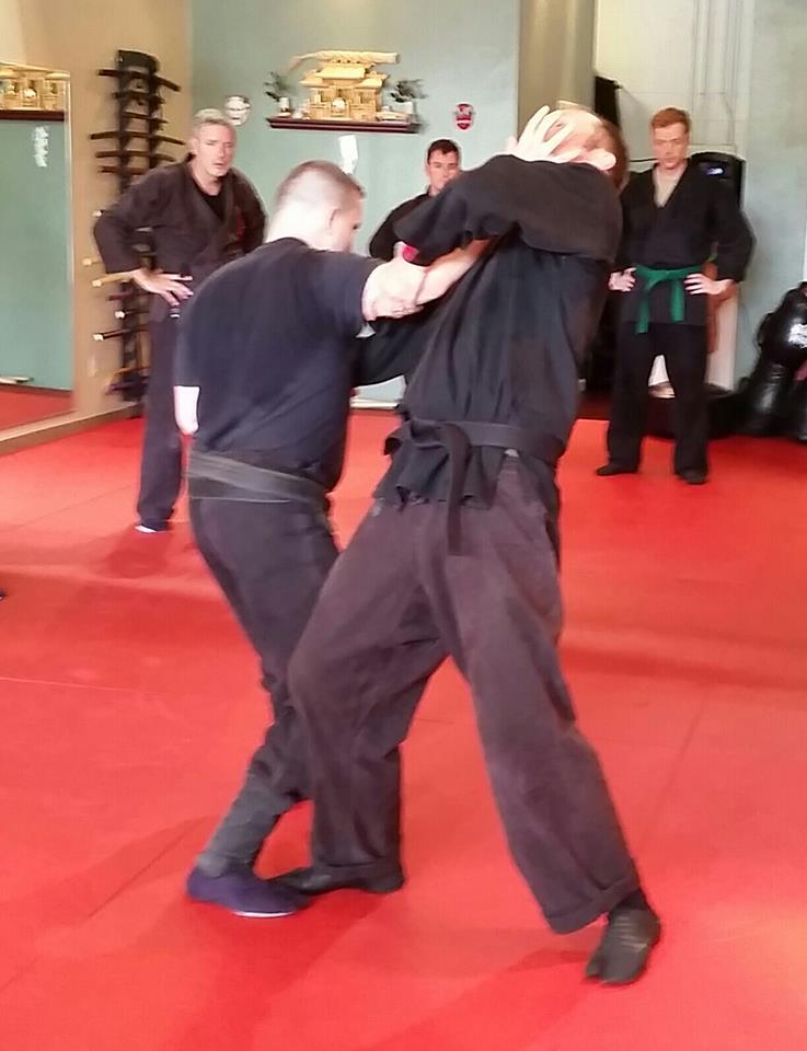 Taijutsu Self Defense | 10780 Parkridge Blvd, Reston, VA 20191, USA | Phone: (703) 391-7388