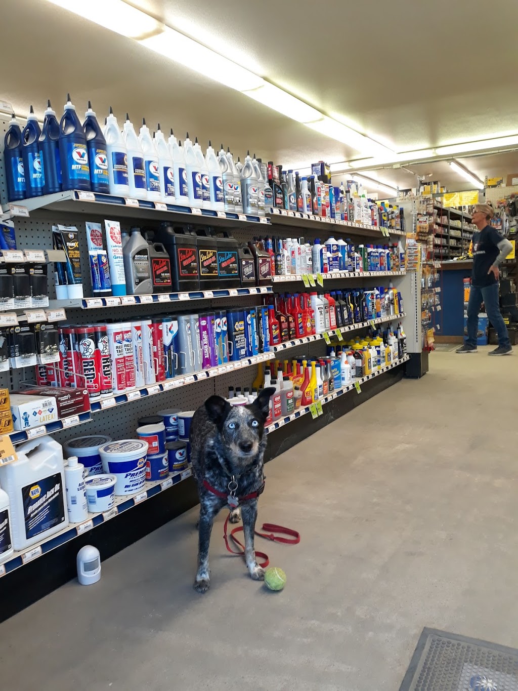 NAPA Auto Parts - Auto Parts of Anza | 56040 CA-371, Anza, CA 92539, USA | Phone: (951) 763-1400