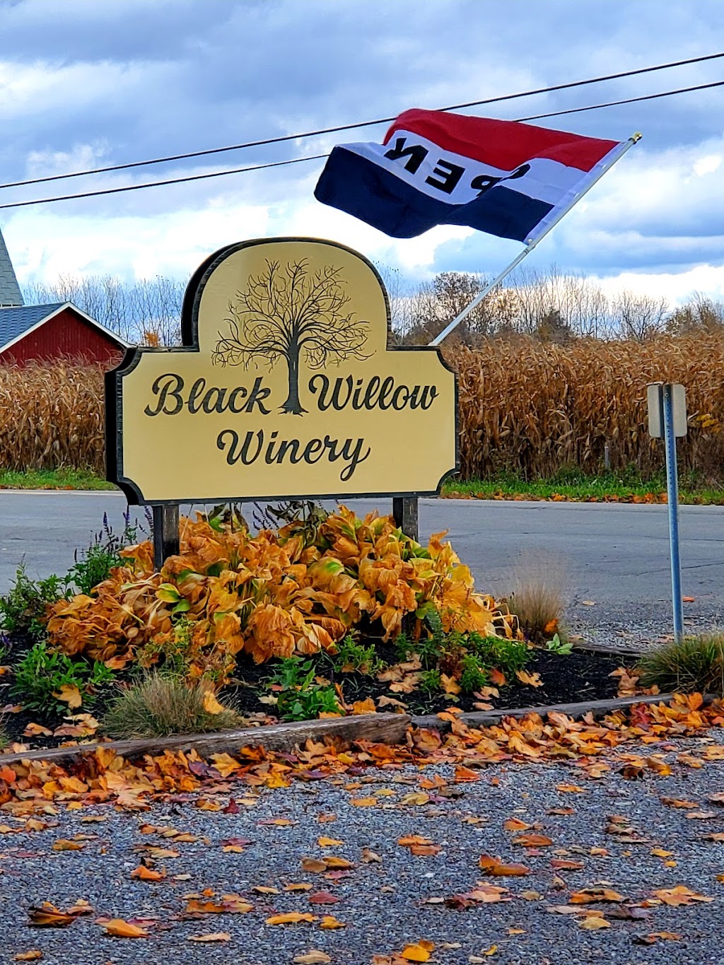 Black Willow Winery | 5565 W Lake Rd, Burt, NY 14028, USA | Phone: (716) 439-1982